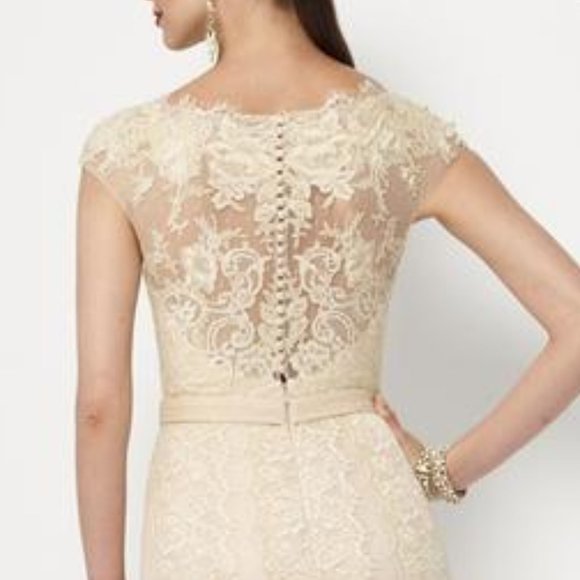 BLUSH Champagne Lace Rustic Wedding Dress, Cap Sleeve, Boat Neck Elegant Mother - Picture 3 of 15